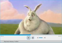 jPlayer as a video player
